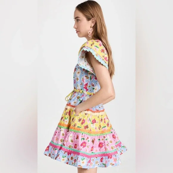 Celia B Aventurine Mini Dress - Picture 4 of 10